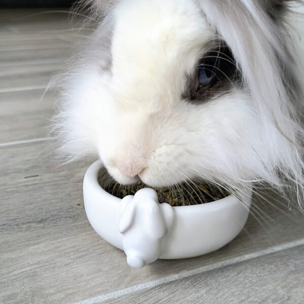 Gamelle blanche en grès avec un lapin Victoria Céramique